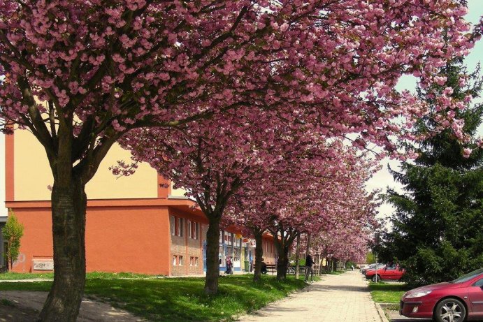 Fotosoutěž: Probouzející se Olomoucký kraj