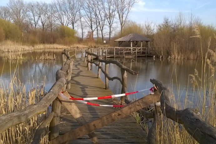 Fotosoutěž: Probouzející se Olomoucký kraj