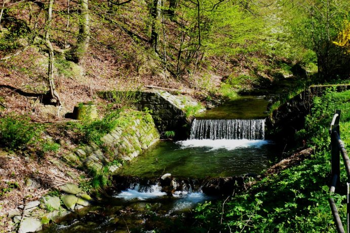 Fotosoutěž: Probouzející se Olomoucký kraj