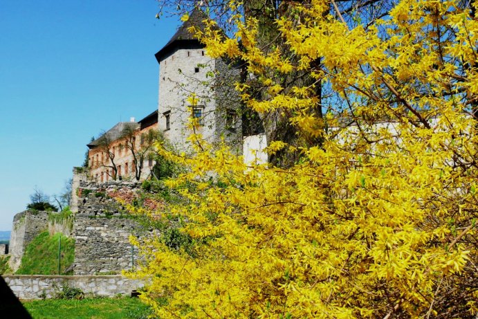 Fotosoutěž: Probouzející se Olomoucký kraj