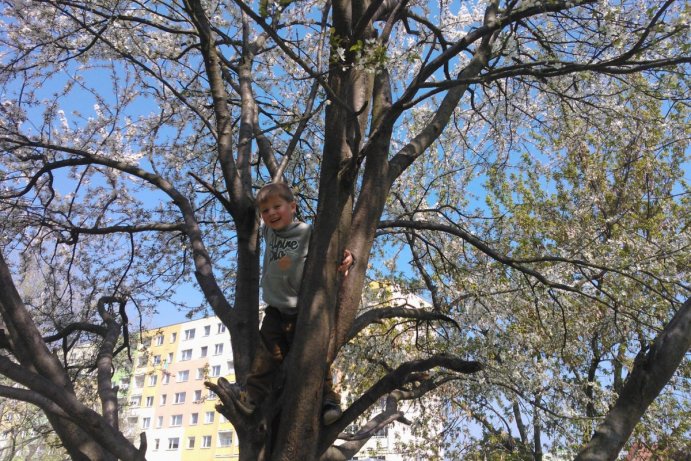 Fotosoutěž: Probouzející se Olomoucký kraj