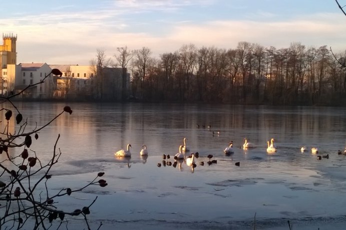 Fotosoutěž: Probouzející se Olomoucký kraj