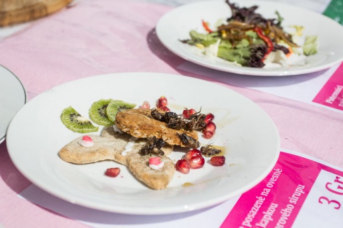 Garden Food Festival překonal návštěvnost z loňského roku