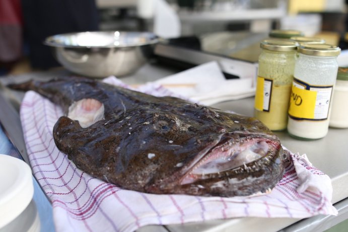 Garden Food Festival překonal návštěvnost z loňského roku