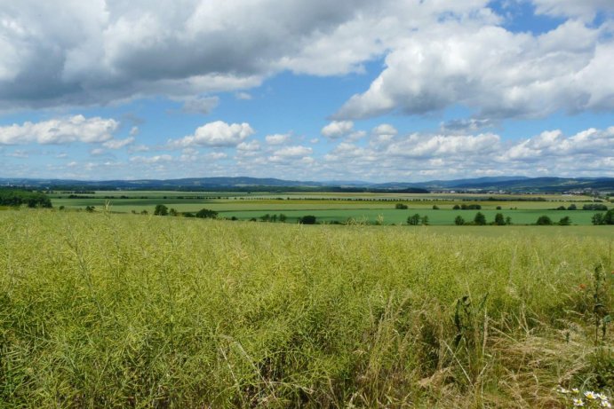 Fotosoutěž: Vítání léta v Olomouckém kraji