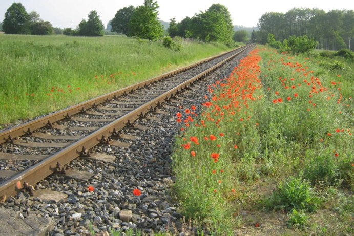 Fotosoutěž: Vítání léta v Olomouckém kraji