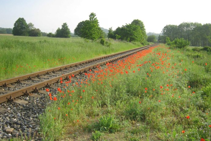 Fotosoutěž: Vítání léta v Olomouckém kraji