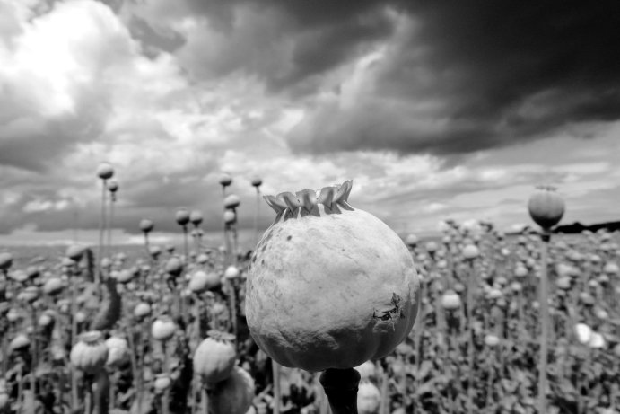 Fotosoutěž: Vítání léta v Olomouckém kraji