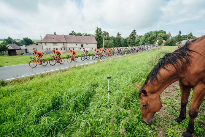 Czech Cycling Tour vyhrál Ital Ulissi, nejlepším z domácích jezdců je Karel Hník na čtvrtém místě