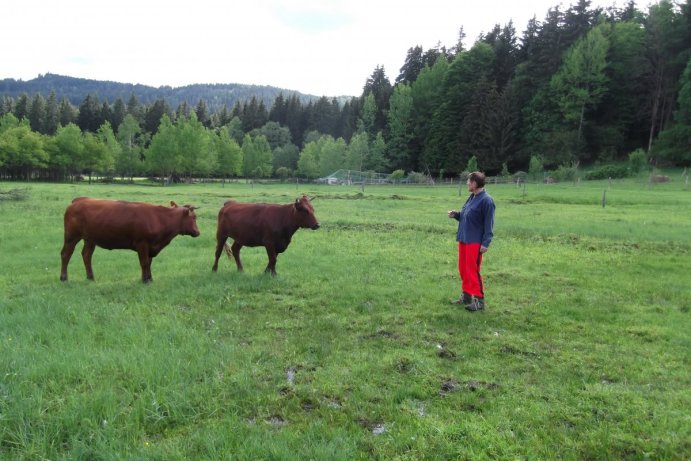 Fotosoutěž: To byl ale výlet!