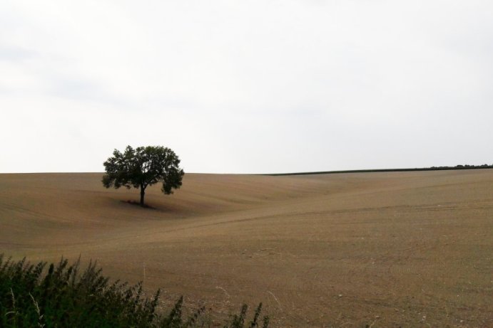 Fotosoutěž: To byl ale výlet!