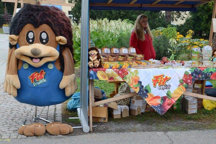 Dožínky Olomouckého kraje završily letošní žně 