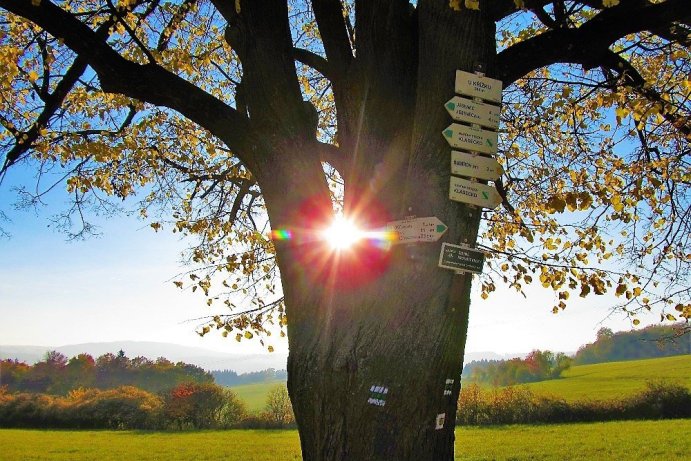 Fotosoutěž: Co děláme na podzim