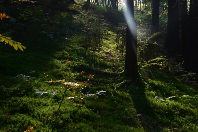 Fotosoutěž: Co děláme na podzim