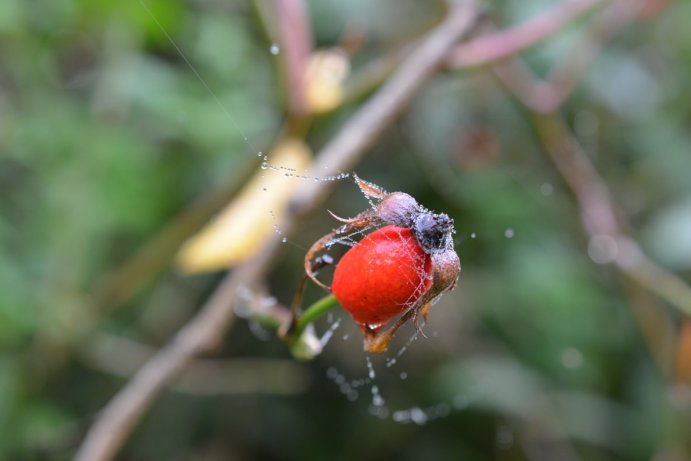 Fotosoutěž: Co děláme na podzim