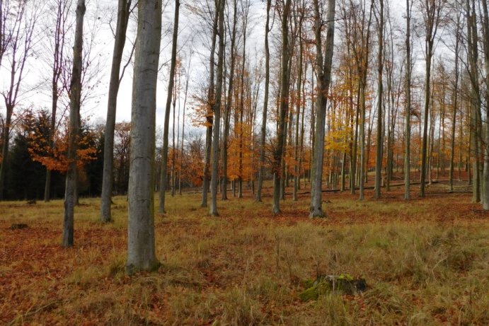 Fotosoutěž: Co děláme na podzim