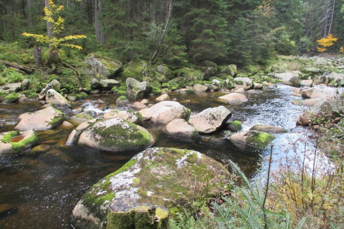 Fotosoutěž: Co děláme na podzim