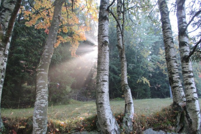 Fotosoutěž: Co děláme na podzim