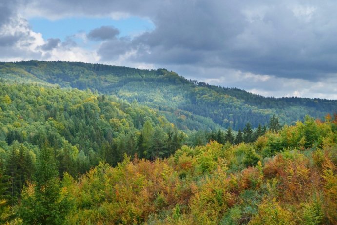 Fotosoutěž: Co děláme na podzim