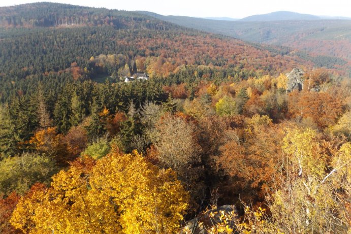 Fotosoutěž: Co děláme na podzim