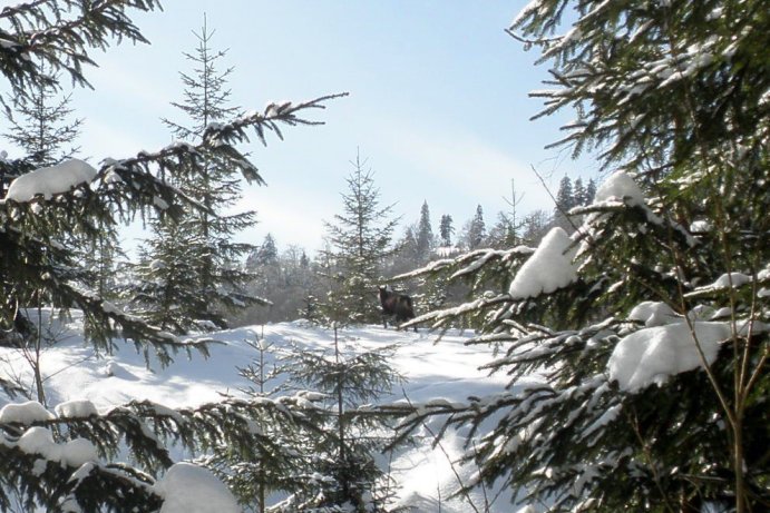 Fotosoutěž - Nejkrásnější období roku