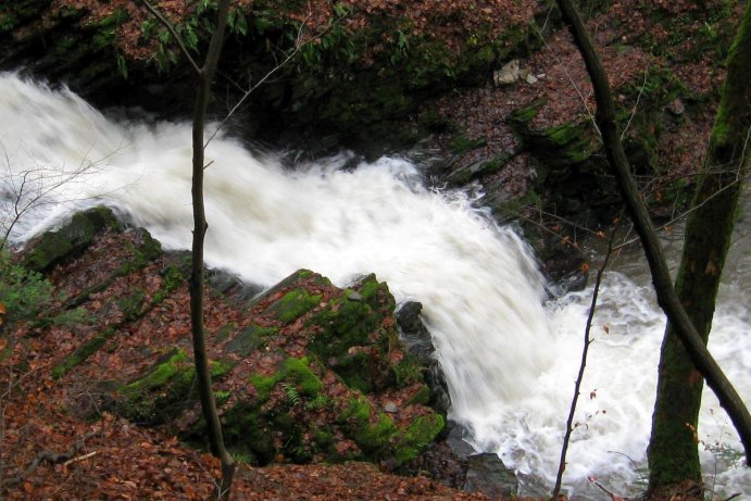 Fotosoutěž - Nejkrásnější období roku