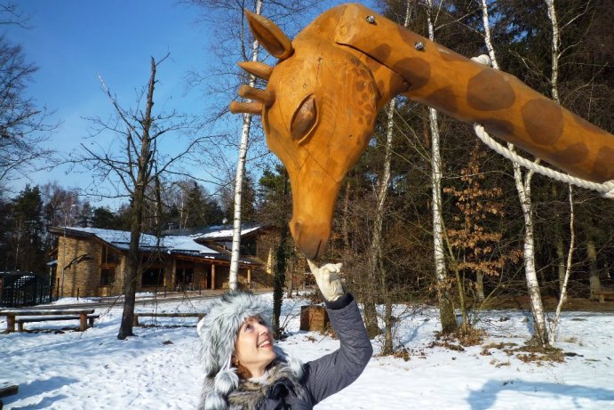 Fotosoutěž - Nejkrásnější období roku