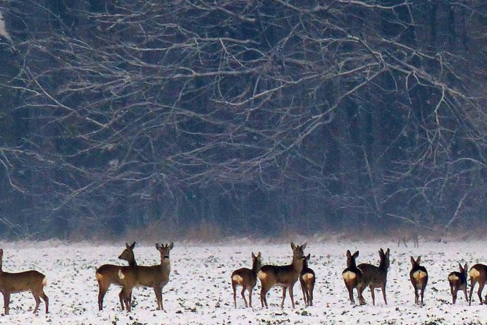 Fotosoutěž - Nejkrásnější období roku