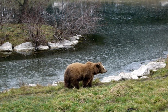 Fotosoutěž - Nejkrásnější období roku