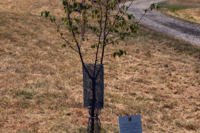 Svěcení cisterny v Pavlově