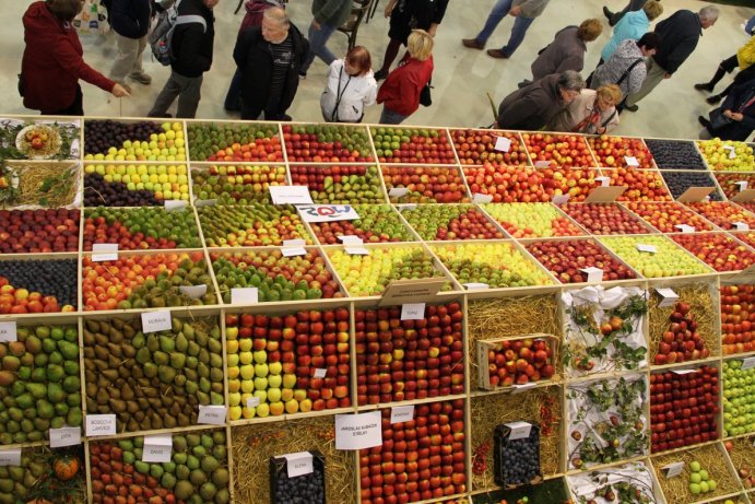 Začala podzimní etapa Flory Olomouc 2019