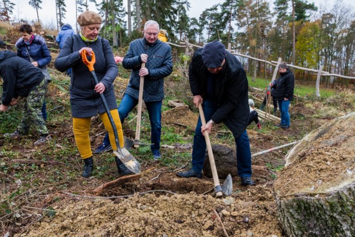 Krajský úřad pomohl s obnovou zeleně v olomoucké zoo