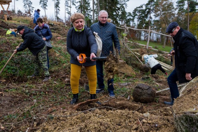 Krajský úřad pomohl s obnovou zeleně v olomoucké zoo