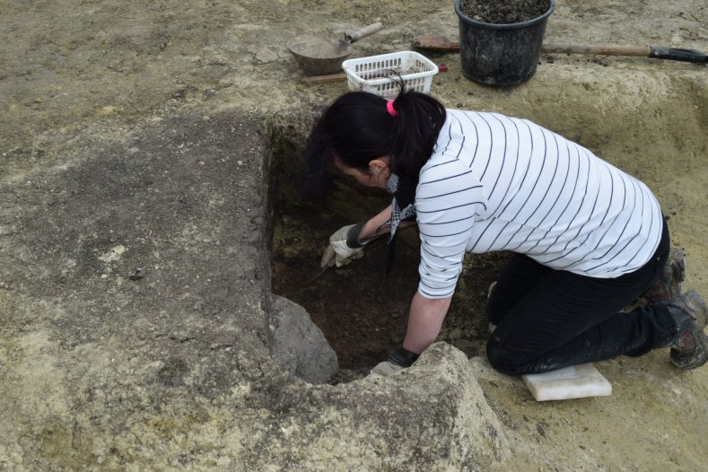 Archeologové opět cestují do minulosti. Hlásí nález nebezpečného ježka     Foto: ACO