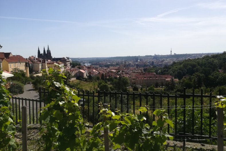 Kraj se změnil k hezčímu. Výstava přináší 11 důkazů    Foto: archiv Cestami proměn, z.s.