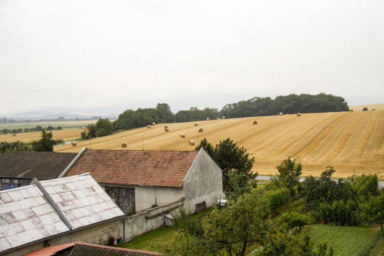 Sociální byty i opravená silnice. V Plinkoutě se investice daří