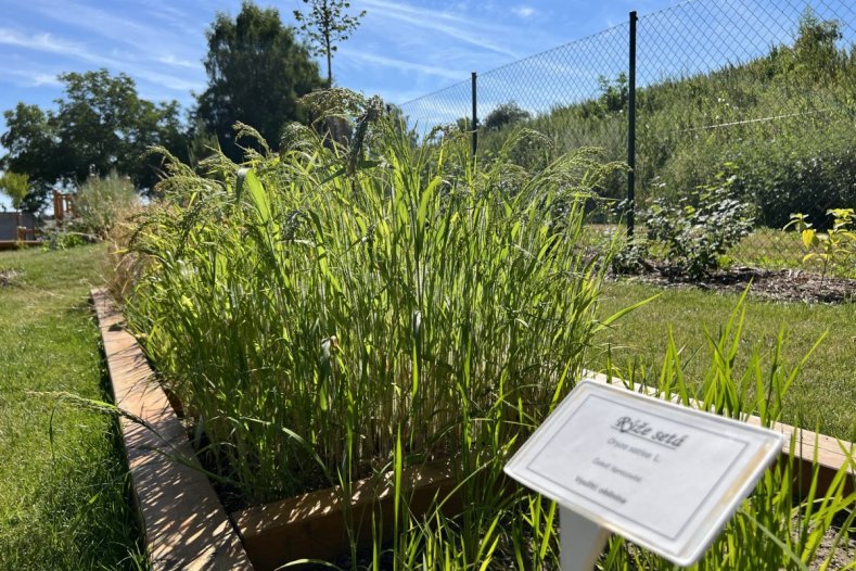 Arboretum nabízí chladivou oázu i historii zemědělství na Hané