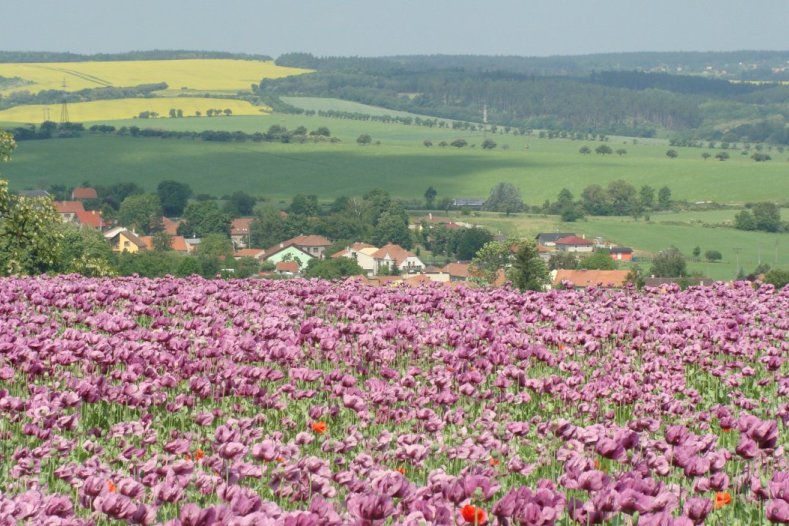 Obec Dobrochov na Prostějovsku