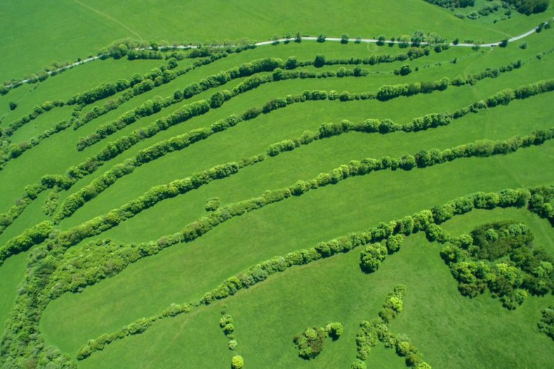 Kdo nejvíce pomáhá životnímu prostředí? Nominujte své favority (foto z Tovačovska)