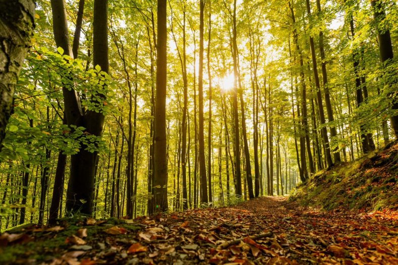 Kraj podpoří životní prostředí. Vypsal dotace na podporu různých aktivit, foto: Údolí Bystřice