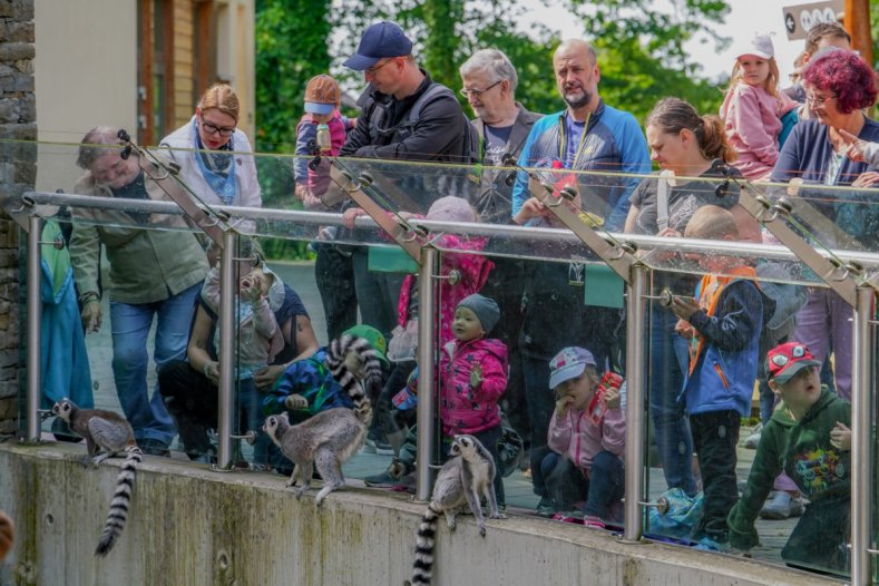 Kraj uspořádal na Svatém Kopečku Den pro rodinu