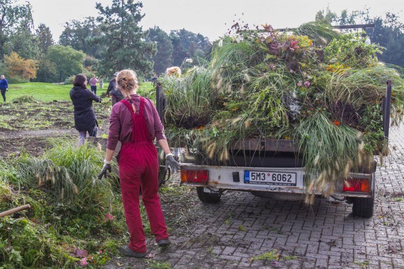 foto_dobrovolnicky_den