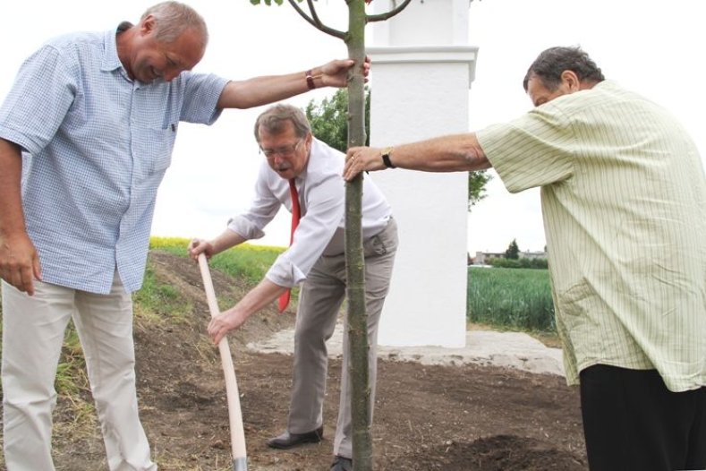 Hejtman Martin Tesařík slavnostně zasazuje lípu