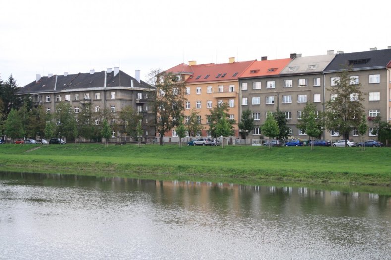 K zemi půjde padesátka javorů, na jejich místě bude protipovodňová zídka lemovaná keři	