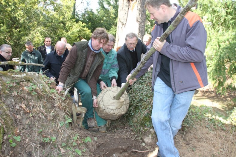 Sázení dubu letního v arboretu v Bílé Lhotě