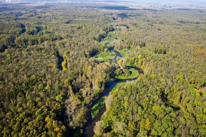 Komáři dostanou přes sosák. Kraj přispěje obcím na postřiky