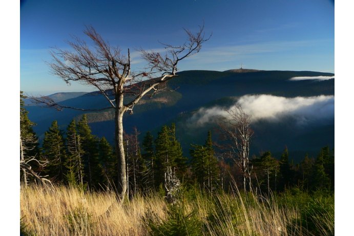 Praděd mountain in Jeseníky Mountains