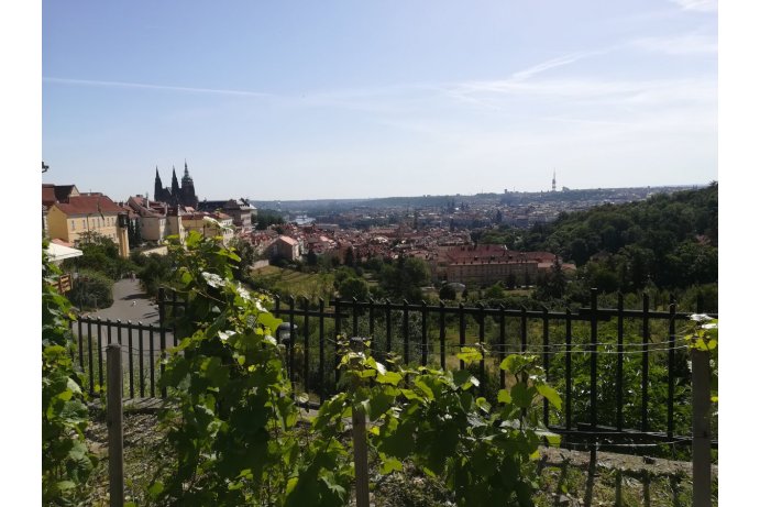 Fotografie - Olomoucký kraj, Praha 