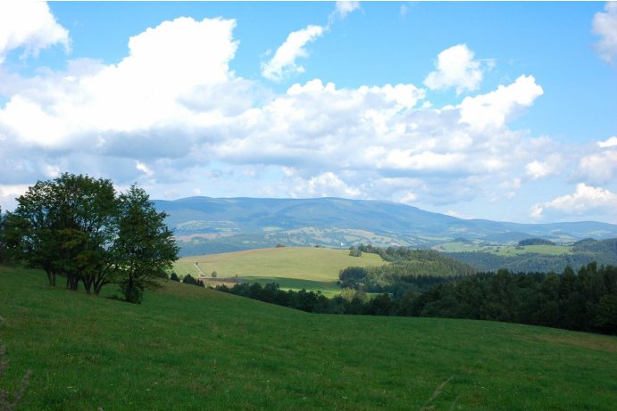 Ptačí oblast Králický Sněžník, pohled z Pramenů u Žárové