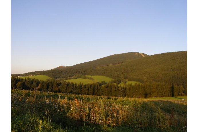 Ptačí oblast Jeseníky, vrchol Šeráku od obce Ostružná